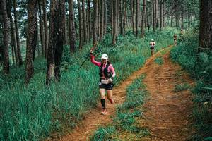 BIB: 
                            <button type="button" onclick="openModal(25653113)" class="btn btn-primary btn-sm float-right btn-popup" data-toggle="modal" data-target=".modal-high-quality">
                        <i class="fas fa-shopping-cart"></i> Add to Cart
                    </button>
                                            <button type="button" onclick="isThisMe(25653113, true)" class="btn btn-success btn-sm float-right btn-popup btn-isme hidden" data-toggle="tooltip" data-placement="bottom" title="นี่คือรูปของคุณใช่ไหม คลิกที่นี่เพื่อเอาเข้าอัลบั้ม">
                        <i class="fas fa-plus"></i> Add to album
                    </button>
                    <button type="button" onclick="isThisMe(25653113, false)" class="btn btn-warning btn-sm float-right btn-popup btn-isnotme hidden">
                        <i class="fas fa-ban"></i> Remove from album
                    </button>